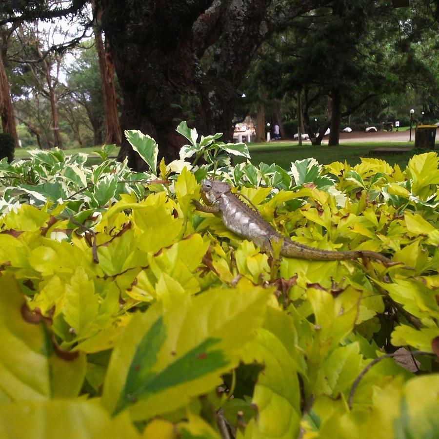 Nyahururu Thomsons Falls Lodge מראה חיצוני תמונה