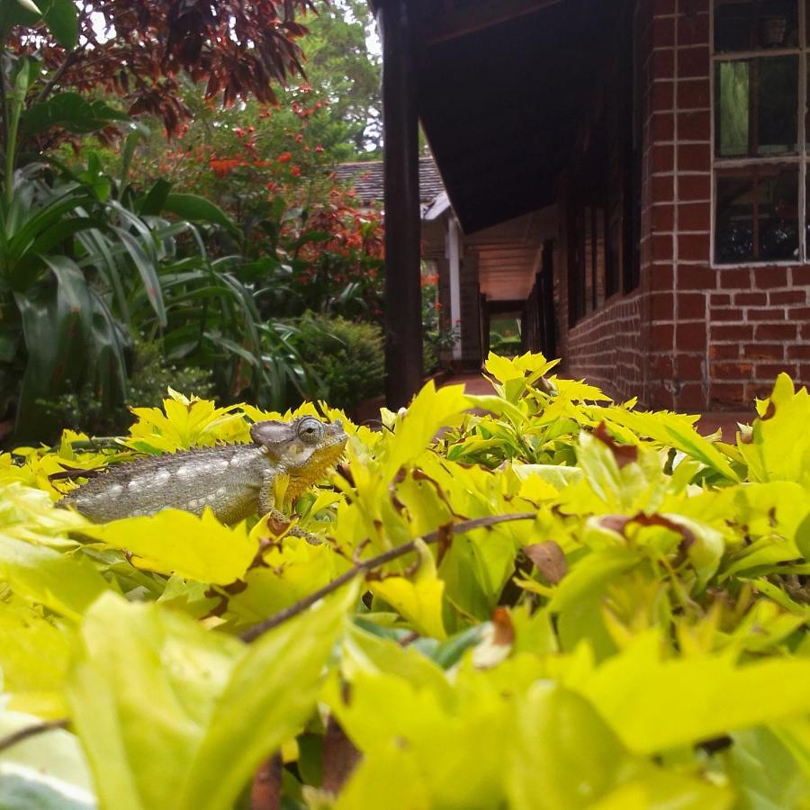 Nyahururu Thomsons Falls Lodge מראה חיצוני תמונה